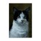 Stupell Industries Black & White Cat Angst Canvas Wall Art Design by Laura Mark-Finberg